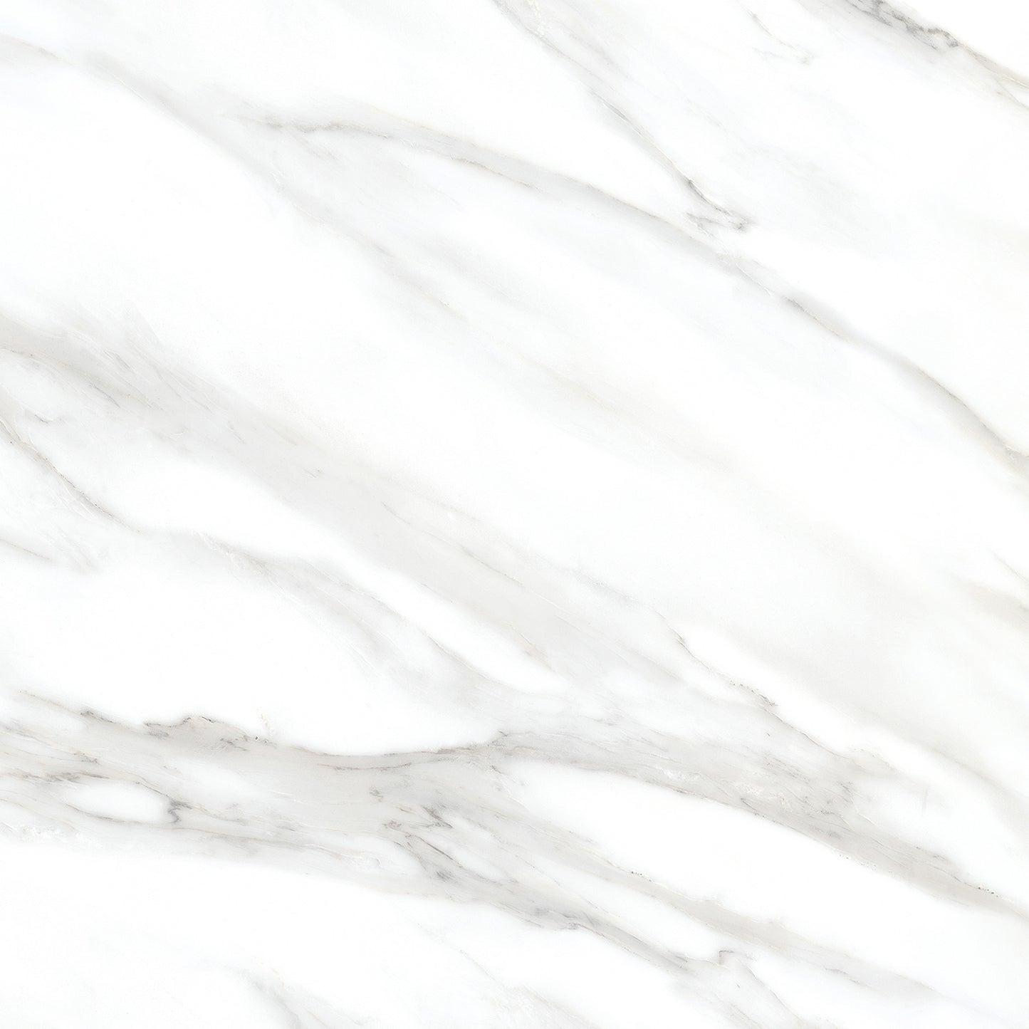 Πλακάκι Polo Carrara Mat Satine Karag 60x60cm